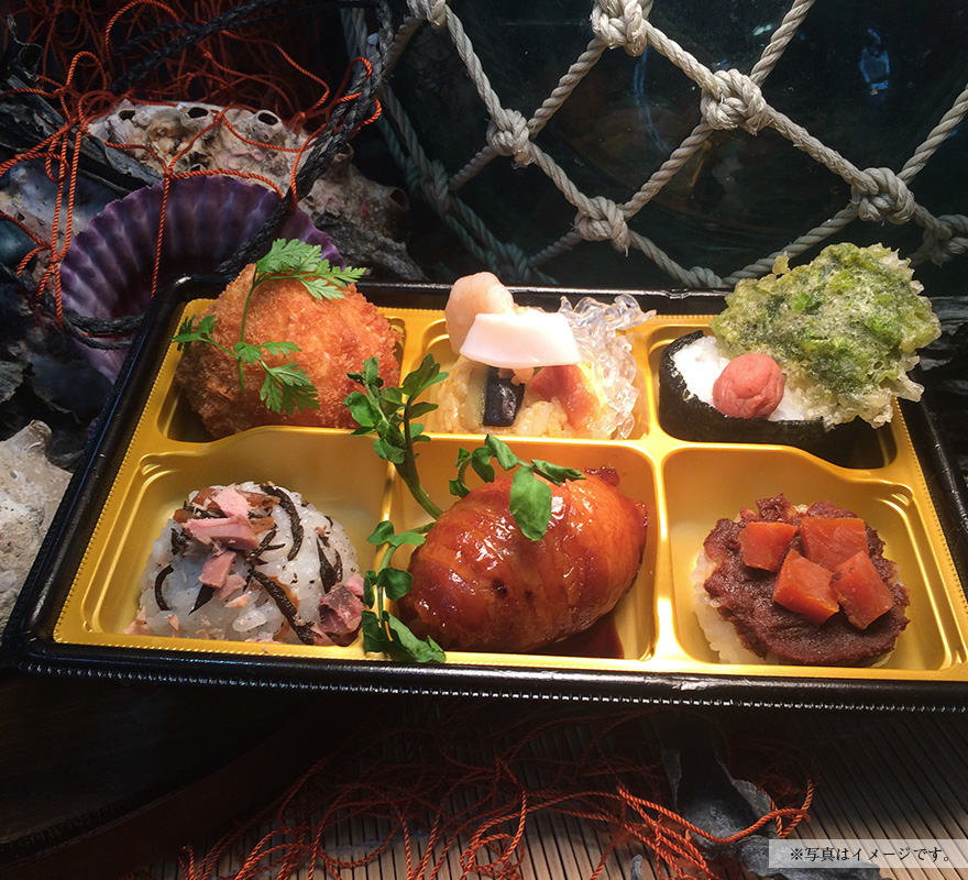 Shima Special Bento Box